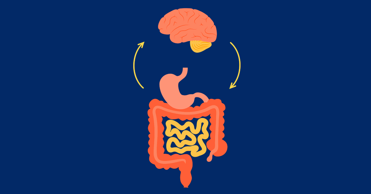 The effect of satiety on the brain