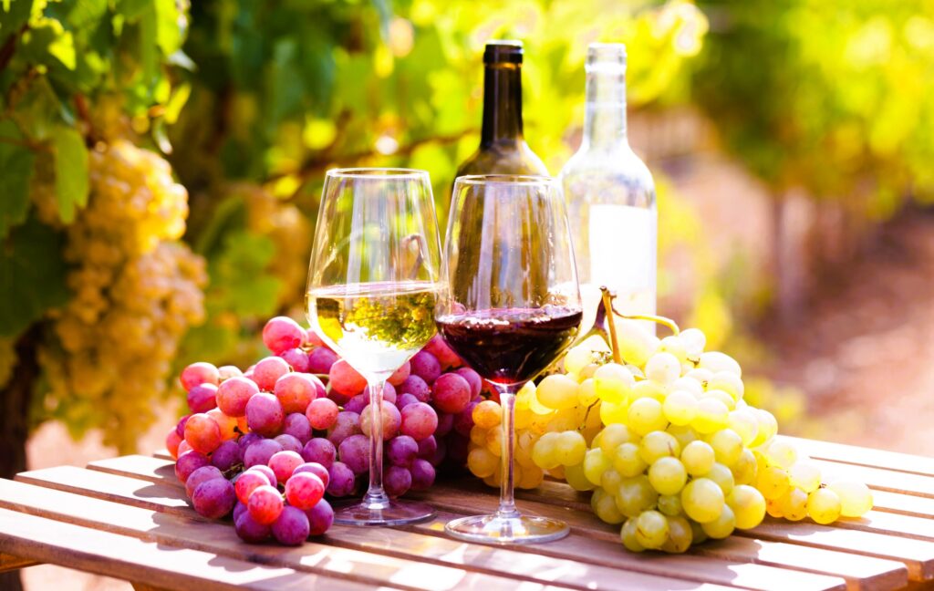 Wine and grapes