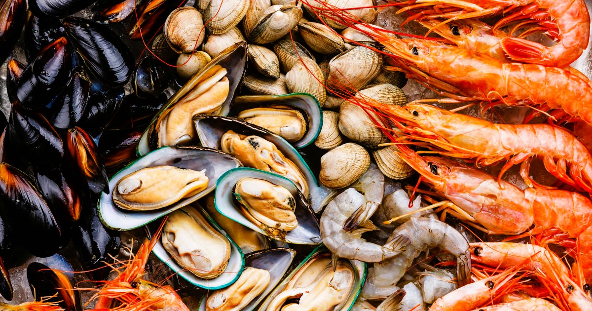 Exploring the World of Sustainable Seafood: A Guide for Food Enthusiasts